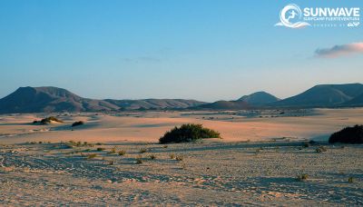 Surfing Fuerteventura Surfreisen Sunwave